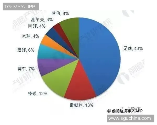 中国足球工资现状分析与未来发展趋势探讨